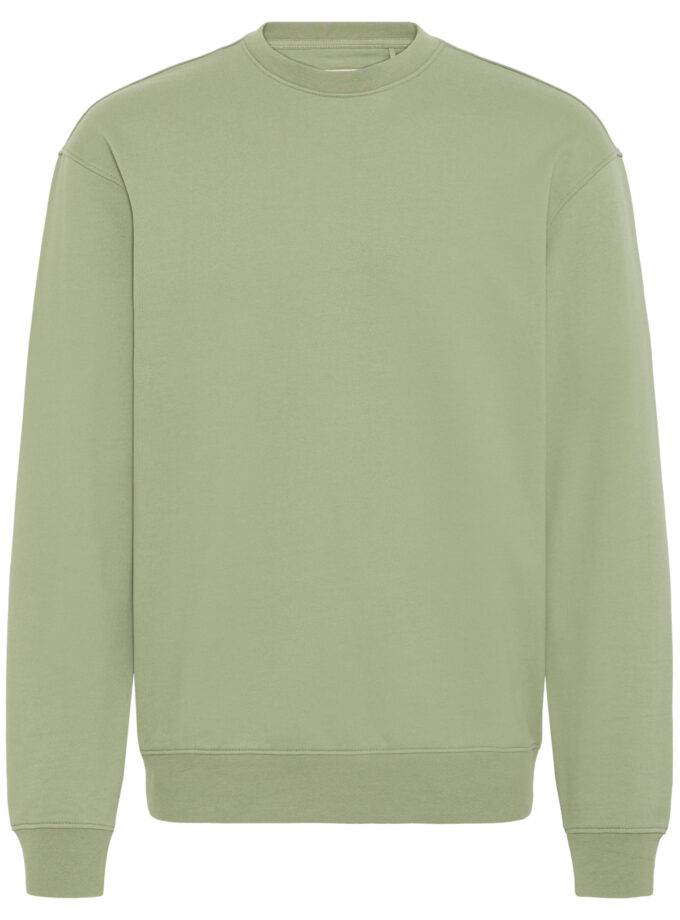 HOODIE SWEATSHIRT - 20720214 - GREEN